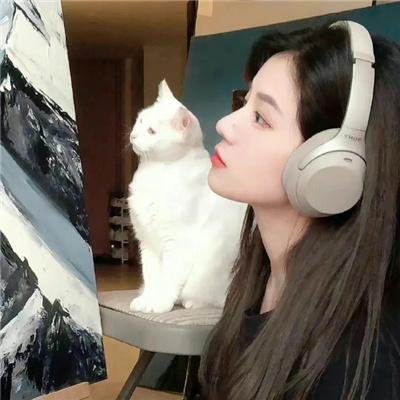 失落的王子